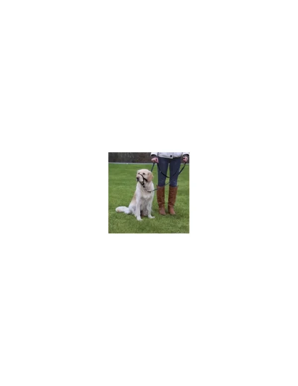 tx13004 dog museruola top trainer tg 4-l