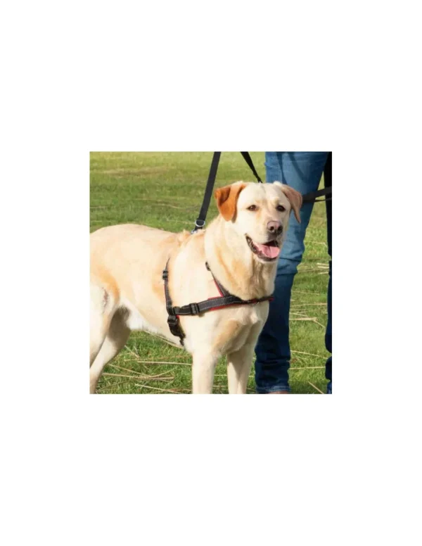 tx13057 dog pettorina lead'n'walk soft tg l-xl