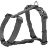 tx203516 dog pettorina premium ad h mis.l-xl 75-120cm/25mm grigio