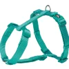 tx204912 dog pettorina premium ad h mis.l 60-87cm/25mm acquamarina