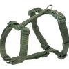 tx203519 dog pettorina premium ad h mis.l-xl 75-120cm/25mm foresta