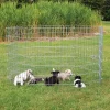 tx3954 dog recinto cuccioli in metallo 8 elem 61x91cm off zg