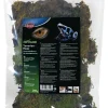 tx76155 muschio in busta 200gr
