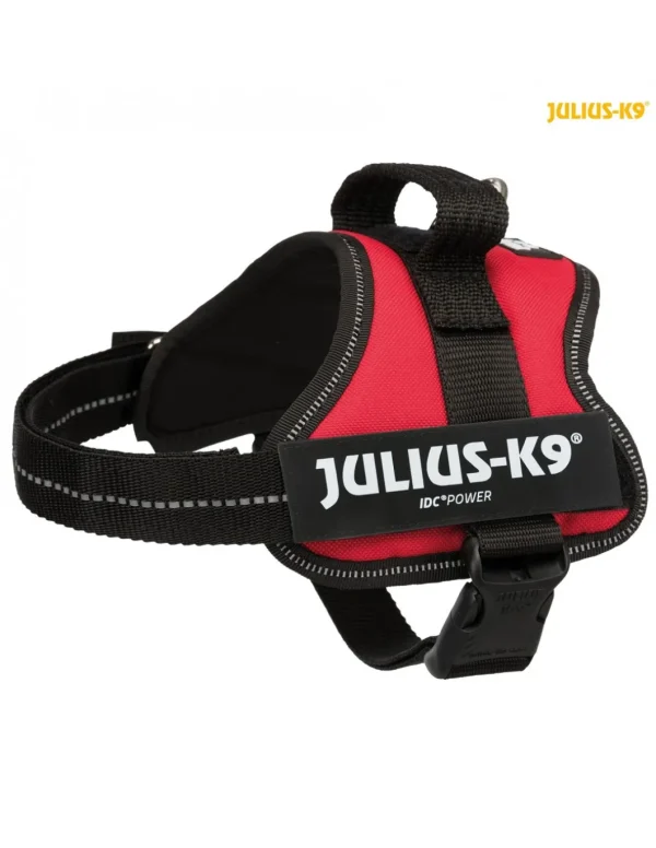 tx150203 pettorina julius k9 power mis.mini/m rosso