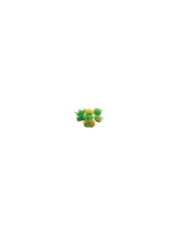 wave tropical plants 14-17cm