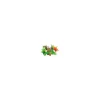 wave tropical plants 22-25cm