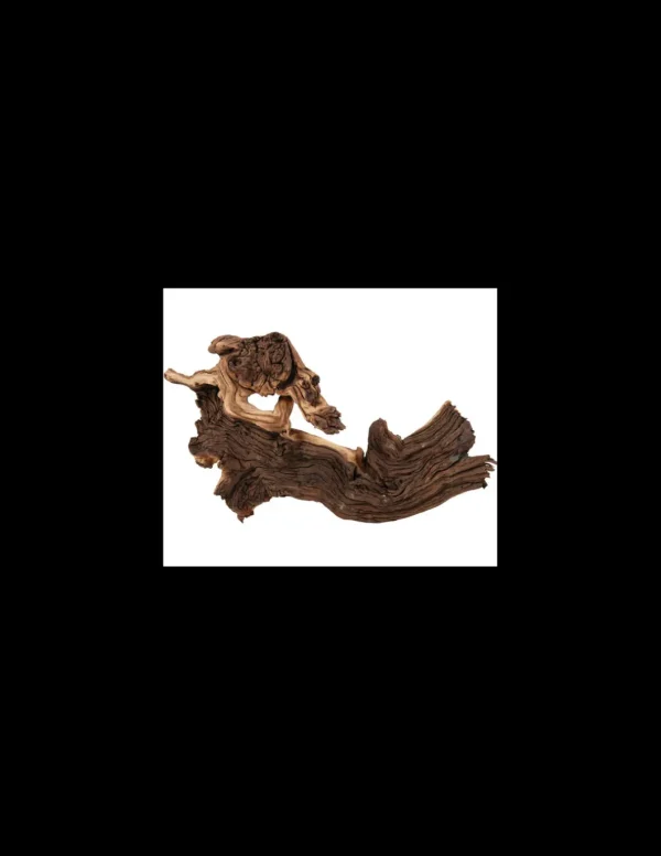 zolux legno mopani extra large r.356016