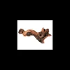 zolux legno mopani large r.356014