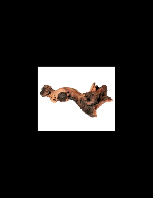 zolux legno mopani piccolo small r.356012