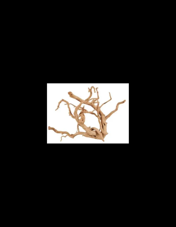 zolux legno racine araignee red wood 50-60cm 356053