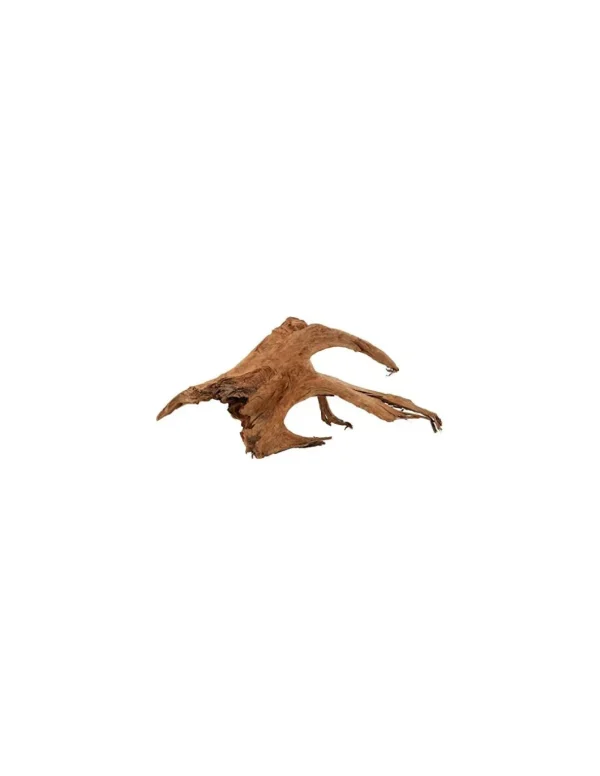 zolux legno racine mangrove large 50-65 356035