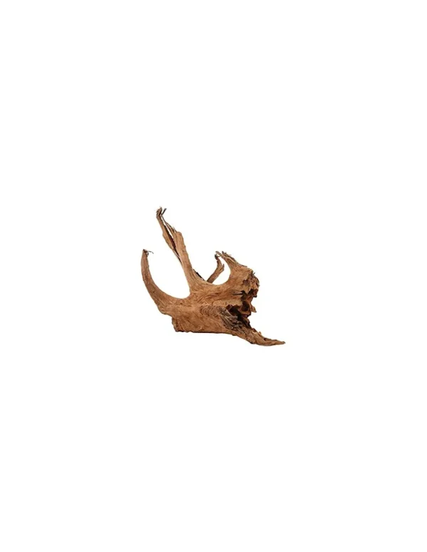 zolux legno racine mangrove small 15-23cm 356025