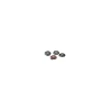zoomed repti rock combo small