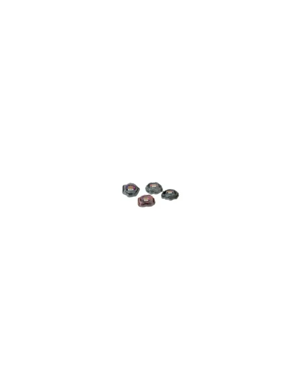 zoomed repti rock combo small